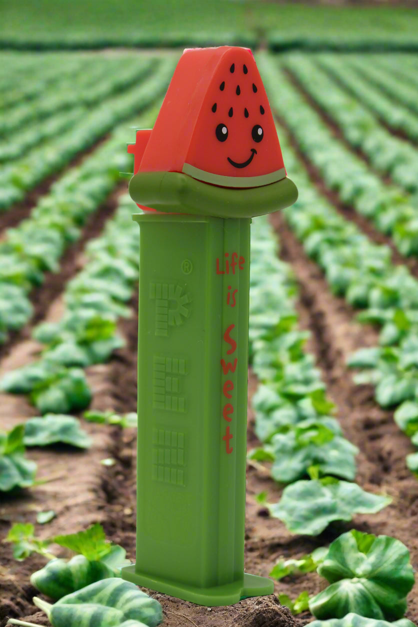 NEW! Watermelon Treats Pez, Life is Sweet, Limited Edition 2025 Pez Mint on Card!